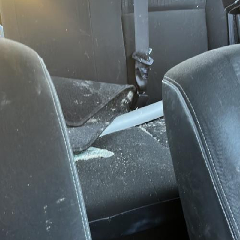 Poignee porte arriere droit DACIA SANDERO 1 Photo n°9