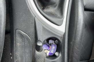 Poignee porte avant gauche BMW SERIE 1 E87