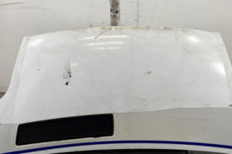 Capot RENAULT TRAFIC 2 Photo n°1