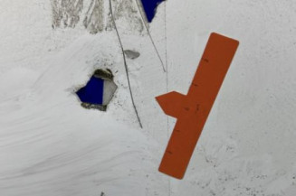 Capot RENAULT TRAFIC 2