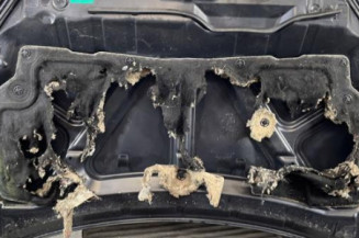 Capot NISSAN QASHQAI 1