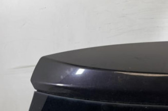 Malle/Hayon arriere NISSAN QASHQAI 1