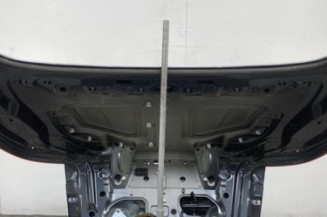 Malle/Hayon arriere RENAULT MEGANE 3 Photo n°1