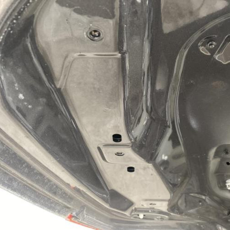 Malle/Hayon arriere RENAULT MEGANE 3 Photo n°4