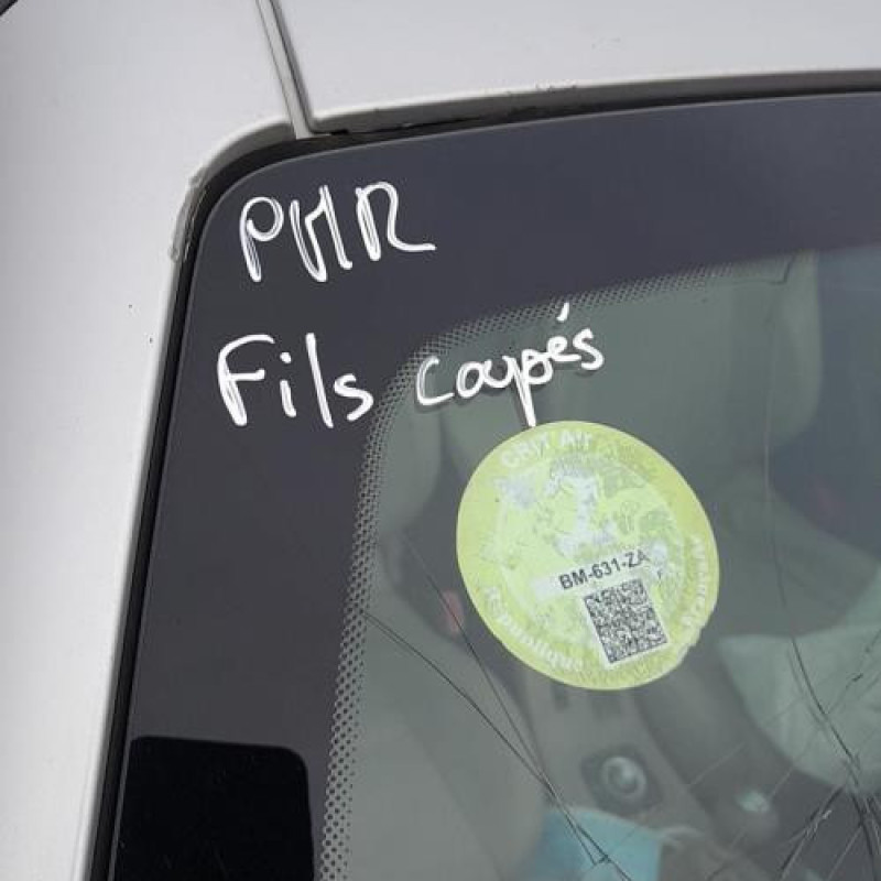 Malle/Hayon arriere RENAULT MEGANE 3 Photo n°9