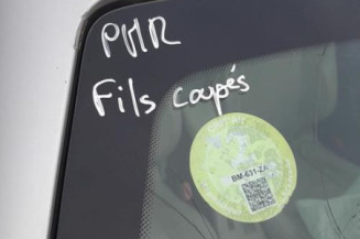 Malle/Hayon arriere RENAULT MEGANE 3