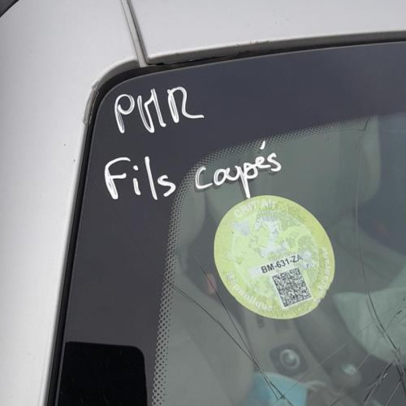 Malle/Hayon arriere RENAULT MEGANE 3 Photo n°12