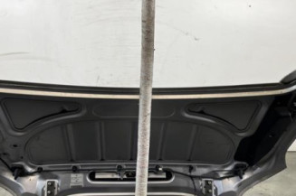 Malle/Hayon arriere PEUGEOT 206