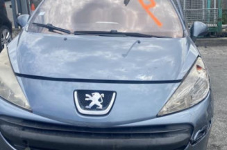 Poignee porte avant gauche PEUGEOT 207