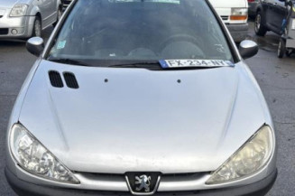 Boitier BSI PEUGEOT 206