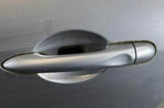 Porte arriere gauche RENAULT SCENIC 3