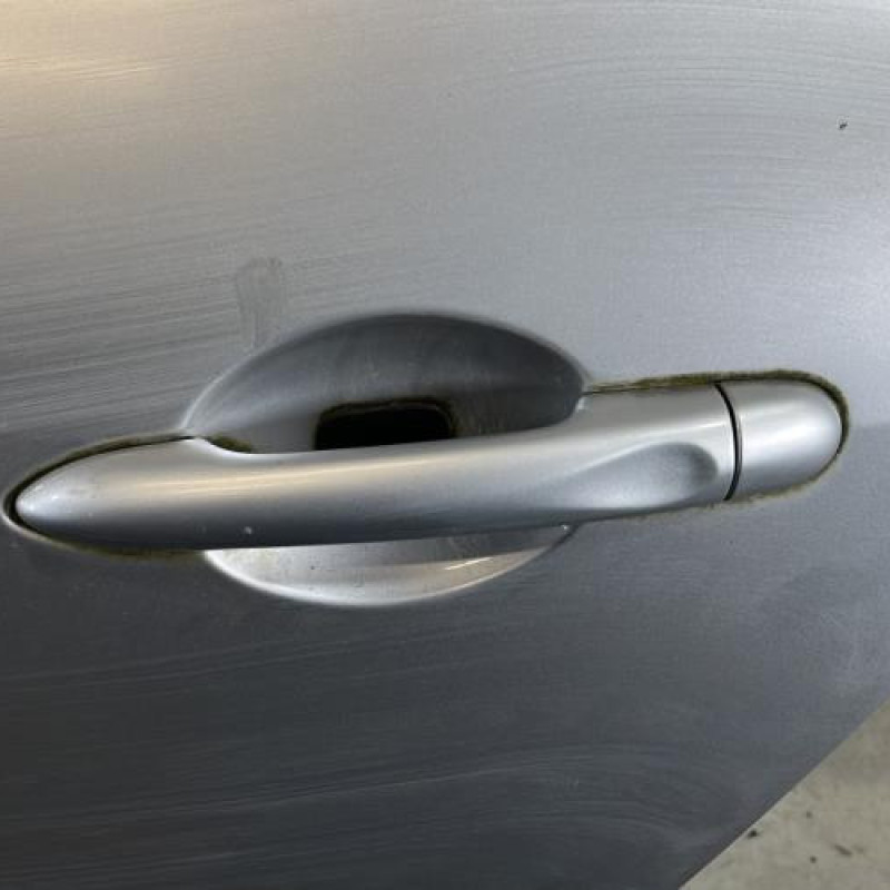 Porte arriere gauche RENAULT SCENIC 3 Photo n°2