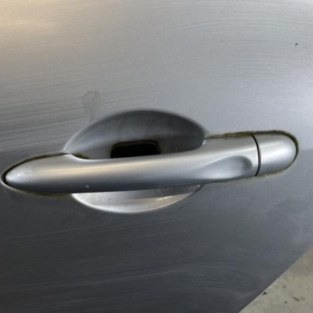 Porte arriere gauche RENAULT SCENIC 3