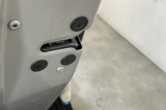 Porte arriere gauche RENAULT SCENIC 3