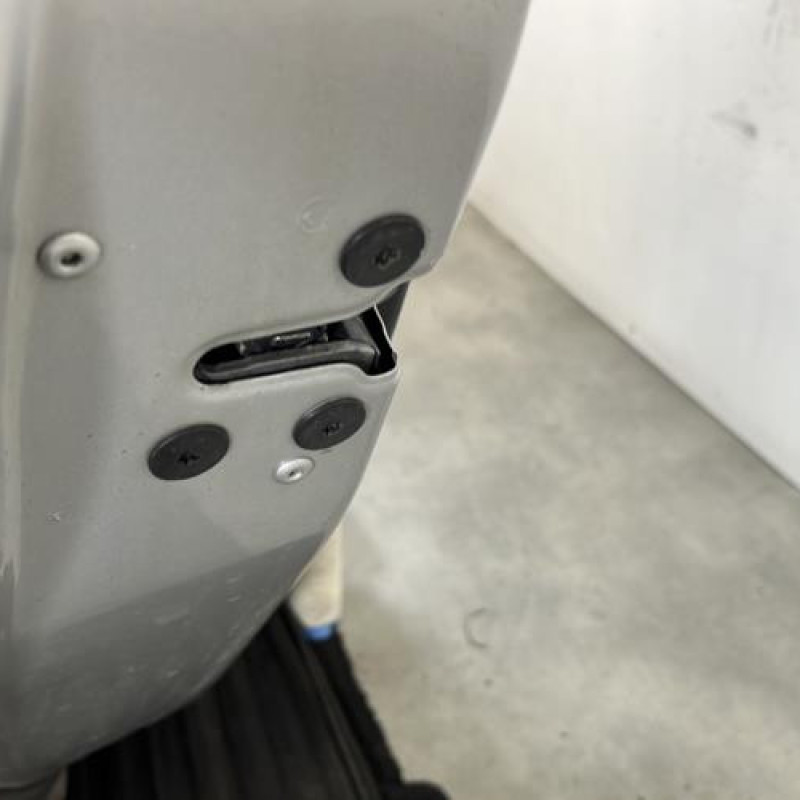 Porte arriere gauche RENAULT SCENIC 3 Photo n°3