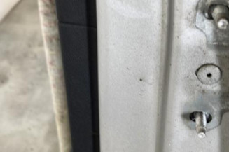 Porte arriere gauche RENAULT SCENIC 3