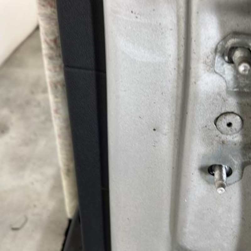 Porte arriere gauche RENAULT SCENIC 3 Photo n°4