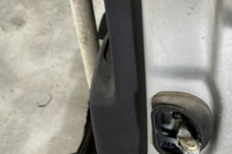 Porte arriere gauche RENAULT SCENIC 3