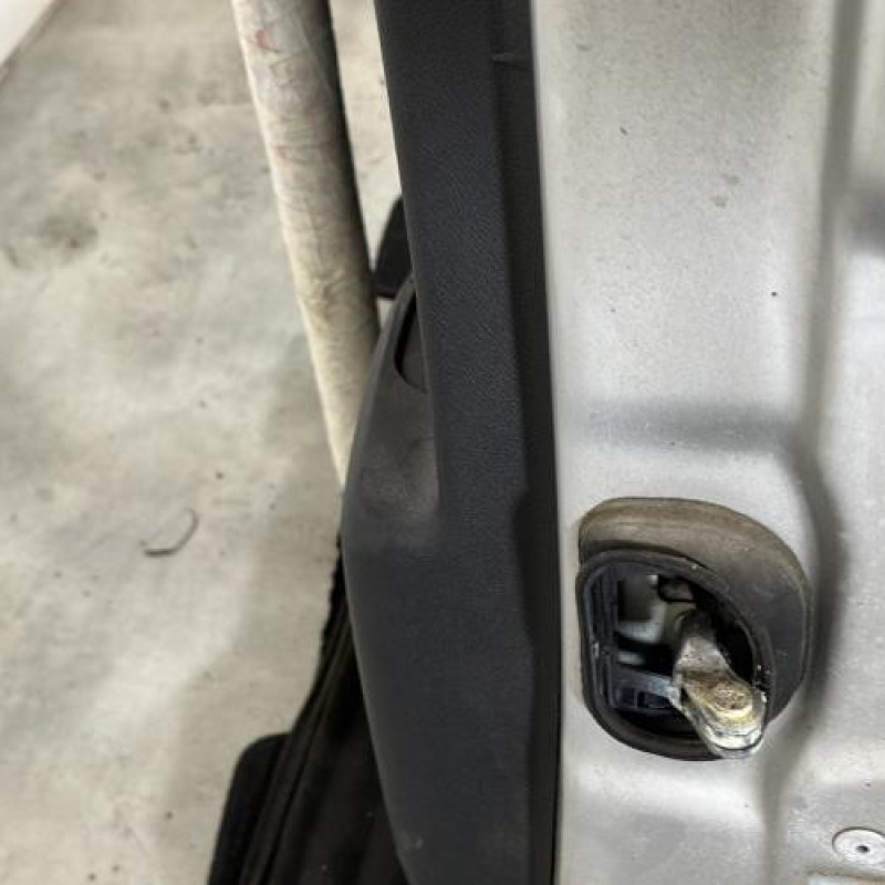 Porte arriere gauche RENAULT SCENIC 3 Photo n°5