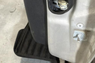 Porte arriere gauche RENAULT SCENIC 3