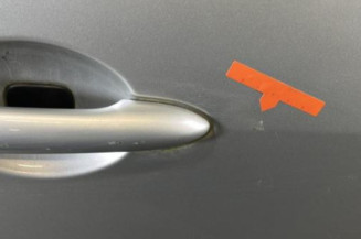 Porte avant droit RENAULT SCENIC 3