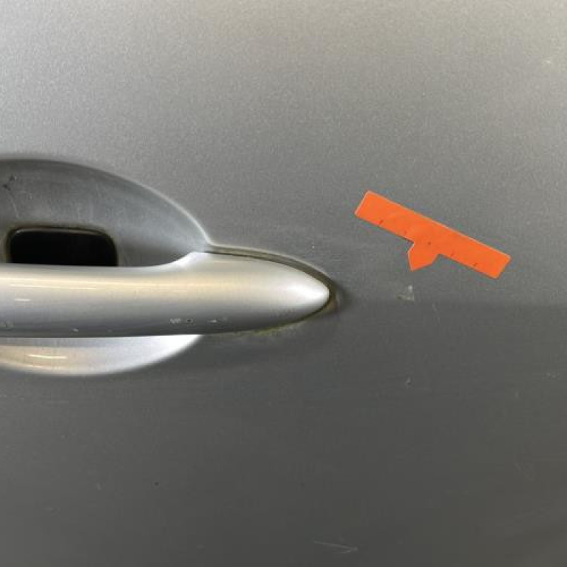 Porte avant droit RENAULT SCENIC 3 Photo n°3