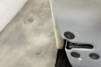 Porte avant droit RENAULT SCENIC 3