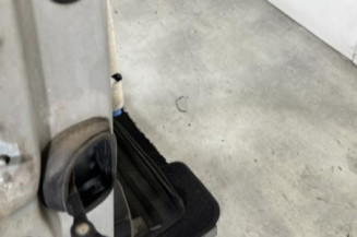 Porte avant droit RENAULT SCENIC 3