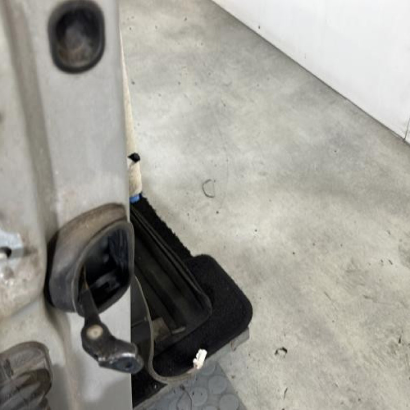 Porte avant droit RENAULT SCENIC 3 Photo n°5