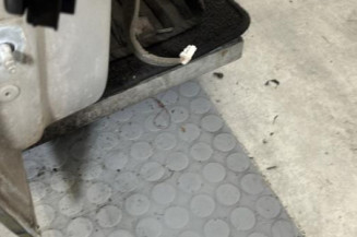 Porte avant droit RENAULT SCENIC 3