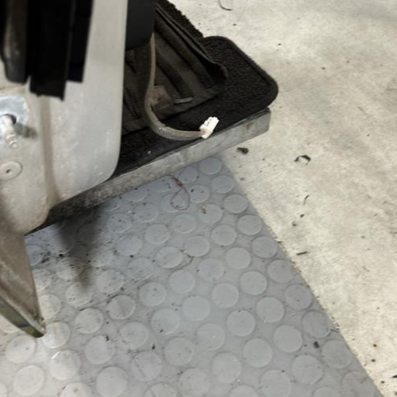 Porte avant droit RENAULT SCENIC 3 Photo n°6