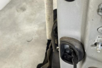 Porte avant gauche RENAULT SCENIC 3