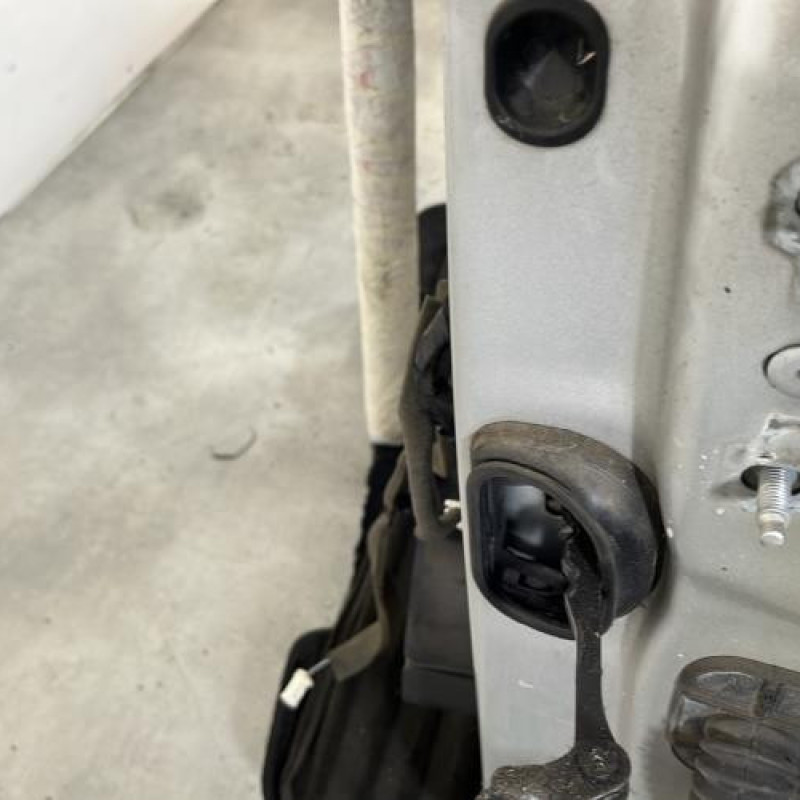 Porte avant gauche RENAULT SCENIC 3 Photo n°2