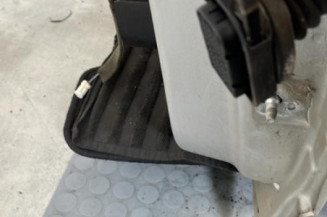 Porte avant gauche RENAULT SCENIC 3