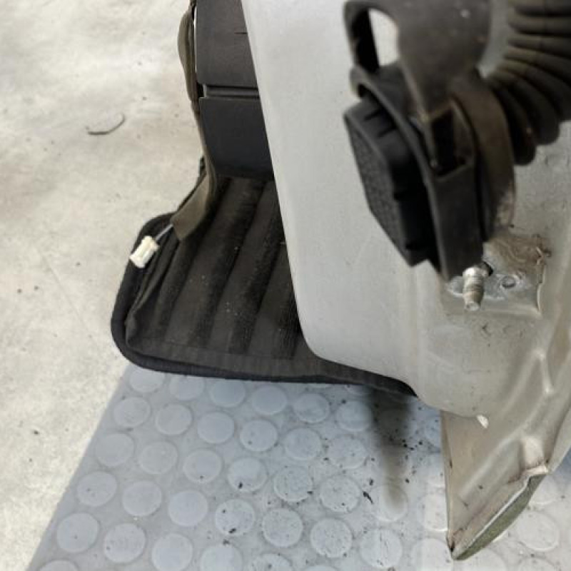 Porte avant gauche RENAULT SCENIC 3 Photo n°3