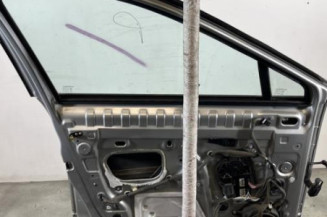 Porte avant gauche RENAULT SCENIC 3