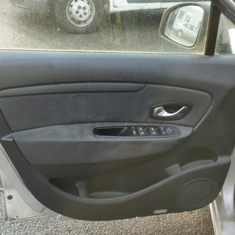 Porte avant gauche RENAULT SCENIC 3 Photo n°13