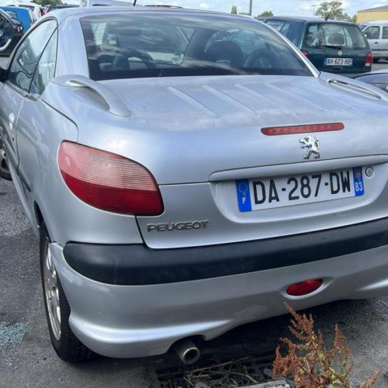 Porte avant droit PEUGEOT 206 Photo n°12