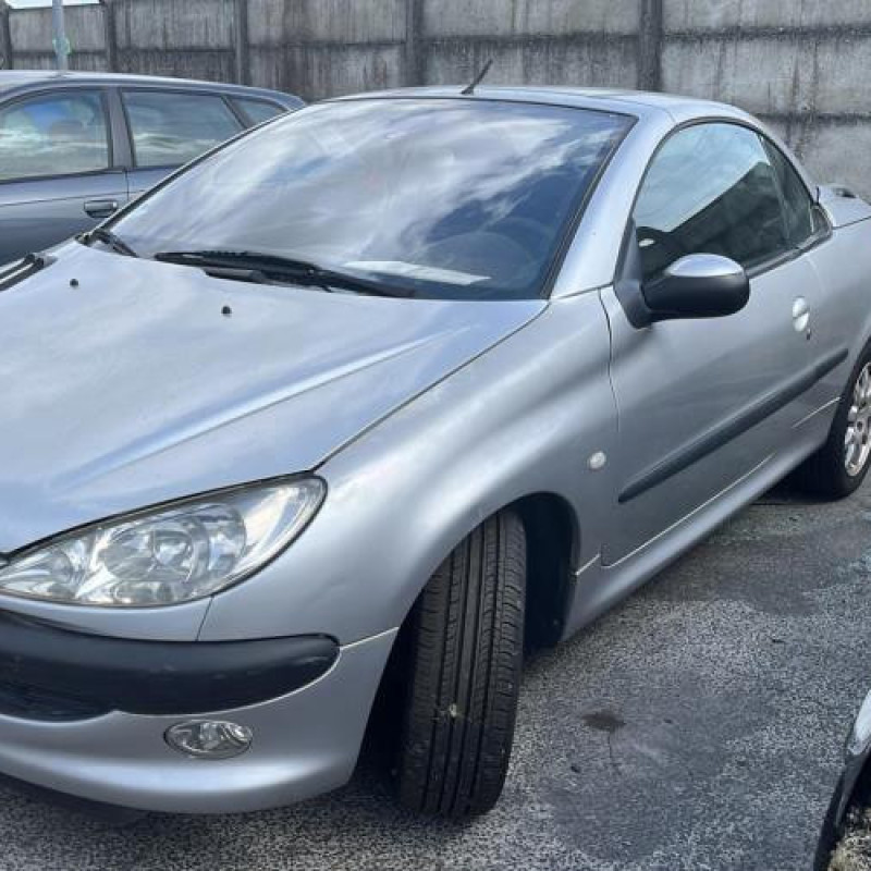 Porte avant droit PEUGEOT 206 Photo n°14