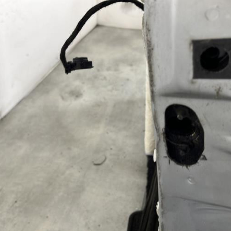 Porte avant gauche PEUGEOT 206 Photo n°3