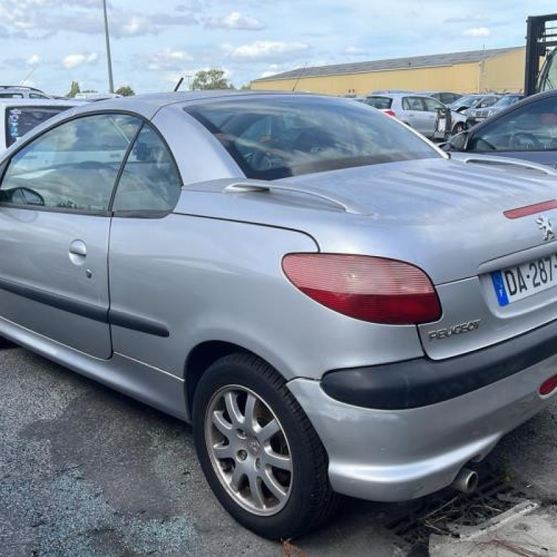 Porte avant gauche PEUGEOT 206 Photo n°13