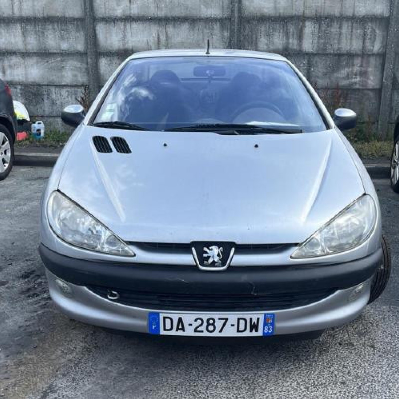 Porte avant gauche PEUGEOT 206 Photo n°17