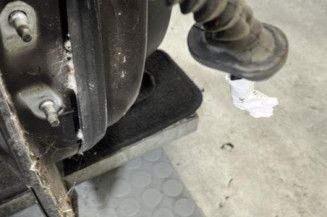 Porte arriere droit NISSAN QASHQAI 1