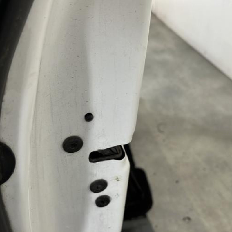 Porte avant gauche PEUGEOT 208 1 Photo n°3