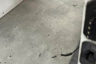 Porte laterale gauche RENAULT MASTER 3