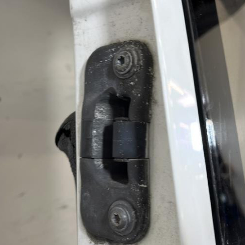 Porte laterale gauche RENAULT MASTER 3 Photo n°12