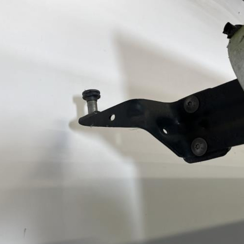 Porte laterale gauche RENAULT MASTER 3 Photo n°13