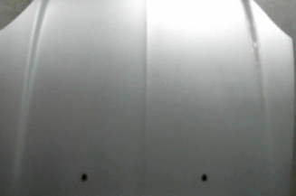 Capot CITROEN XSARA Photo n°1