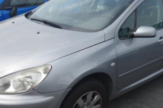Capot PEUGEOT 307