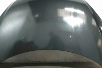 Capot PEUGEOT 307 Photo n°1